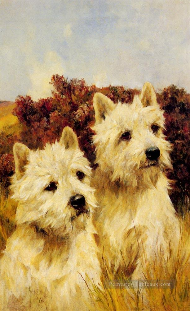 Jacque et Jean Champion Terriers blancs de Westhighland Arthur Wardle Chien Peintures à l'huile